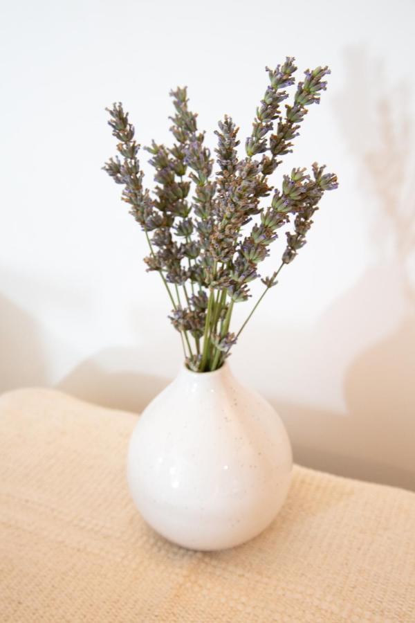 Petit Studio Secret - Coeur De Provence - 4 Personnes Volx ภายนอก รูปภาพ